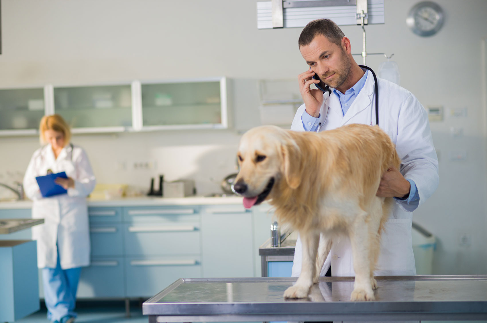 Veterinary Partners Veterinary Surgical Specialists