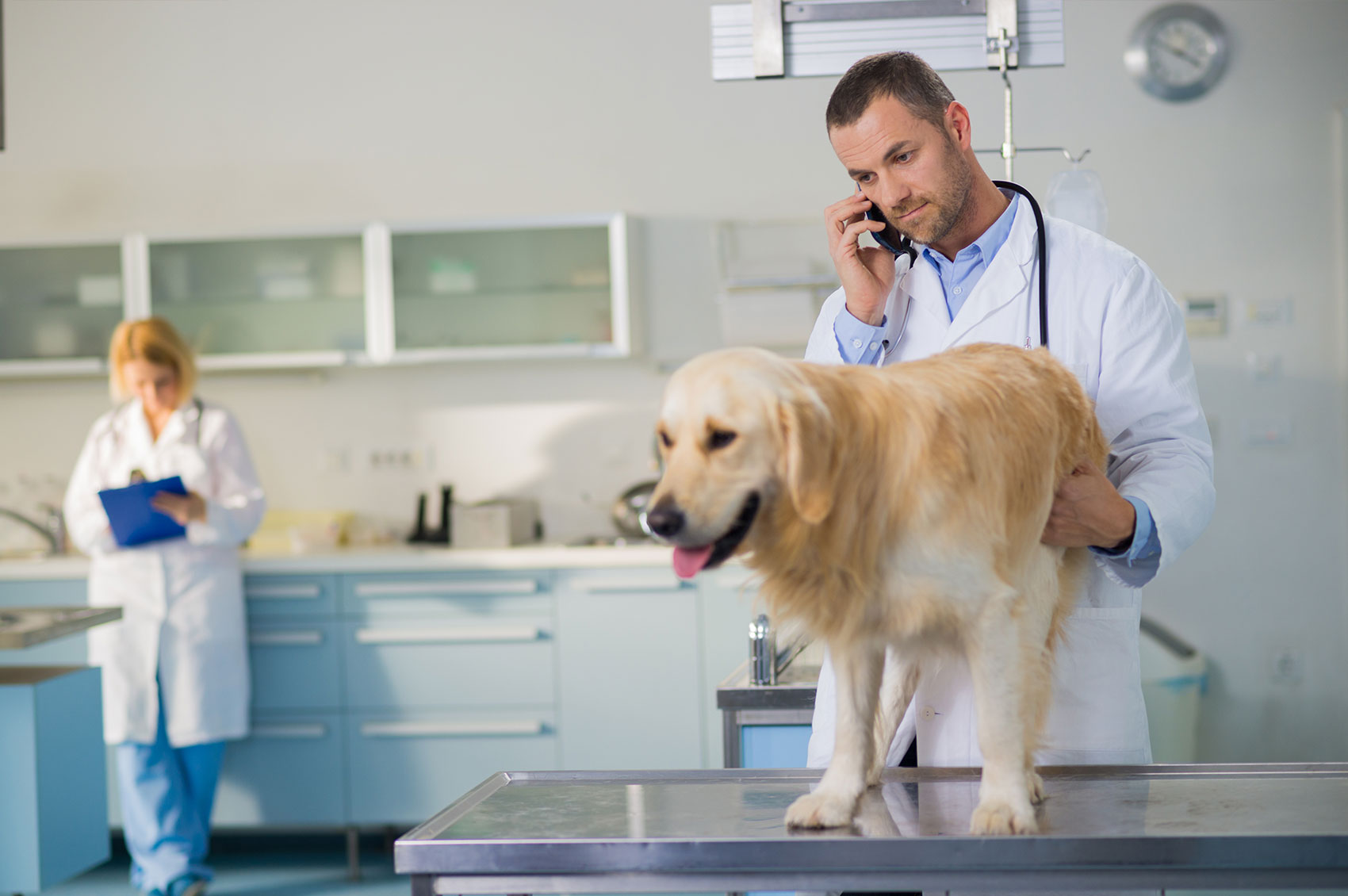 Rancho Regional Veterinary Hospital