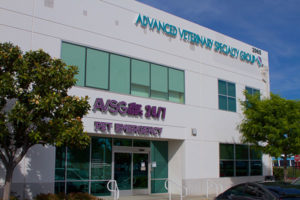 AVSG 24/7 Pet Emergency Hospital