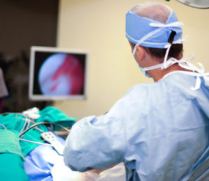 Dog Neurologic Surgery Performed by Veterinary Surgeon