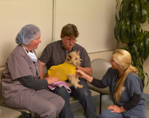 Meeting Veterinary Surgeon Dr. Diane Craig