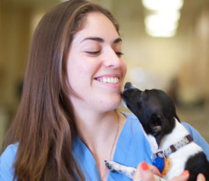 Veterinary Rehabilitation Therapy for Dog