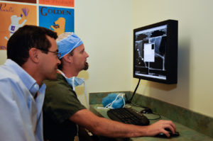 Surgeons Reviewing Diagnostic Imaging at Veterinary Surgical Specialists