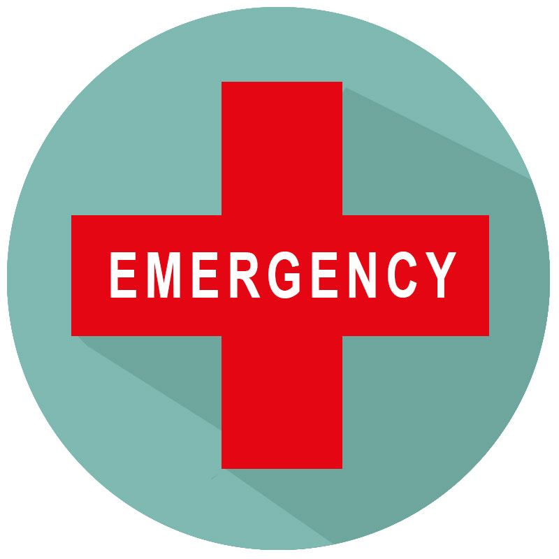 emergency icon