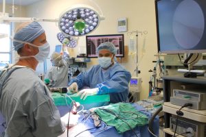 Veterinary Reconstructive Surgery